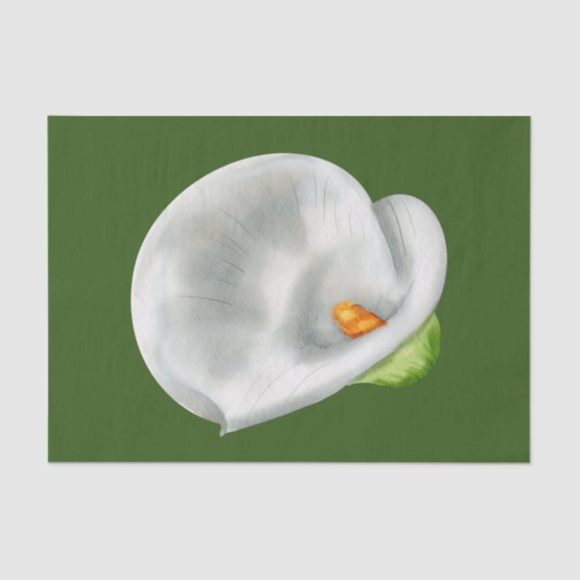 Calla Lilly Seidenpapier (Vorderseite)
