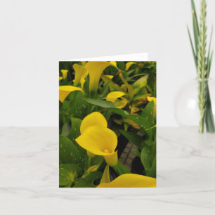 Calla lily dankeskarte