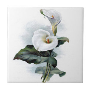 Calla Lily Design Fliese