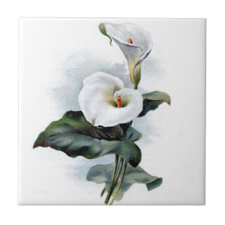 Calla Lily Design Fliese