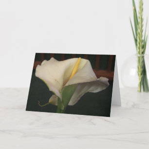 Calla Lily Grußkarte Karte
