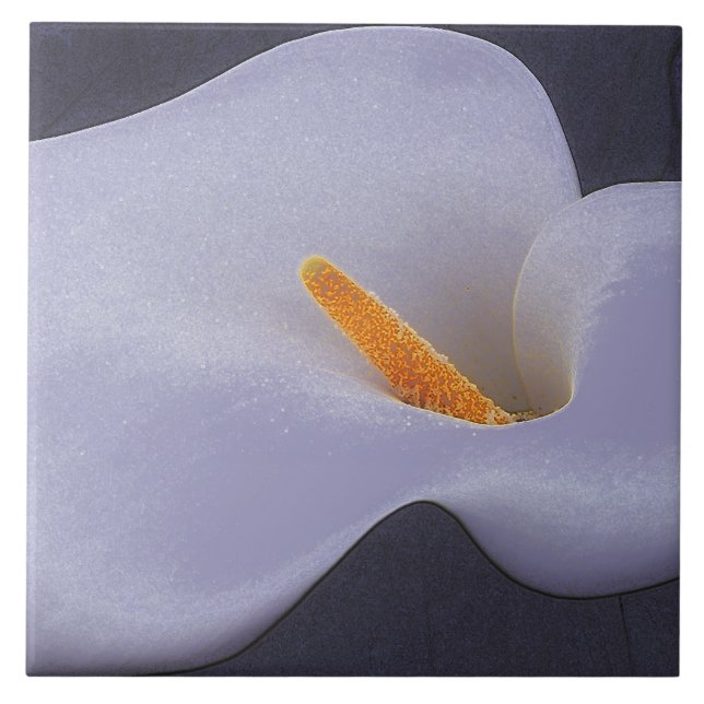 Calla Lily Illustration Collectiable Keramik Tiles Fliese (Vorderseite)