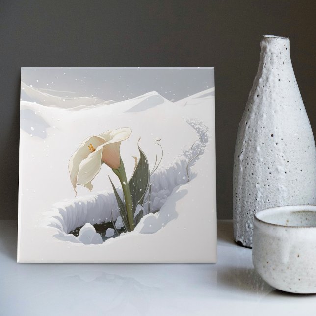 Calla Lily im Berg durch Schnee brechen Fliese (Von Creator hochgeladen)
