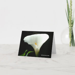 Calla Lily in Black Karte