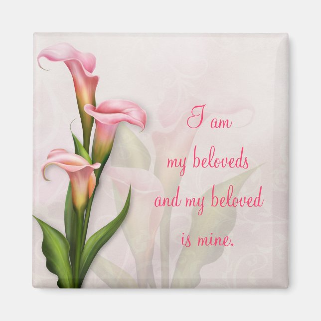 Calla Lily Pink Magnet ~ Mein Geliebter (Vorne)