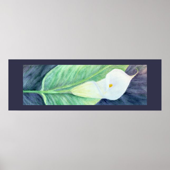 Calla Lily Poster (Vorne)