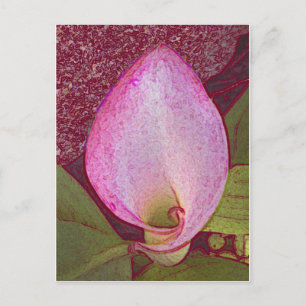Calla Lily Postkarte