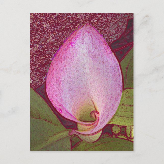 Calla Lily Postkarte (Vorderseite)