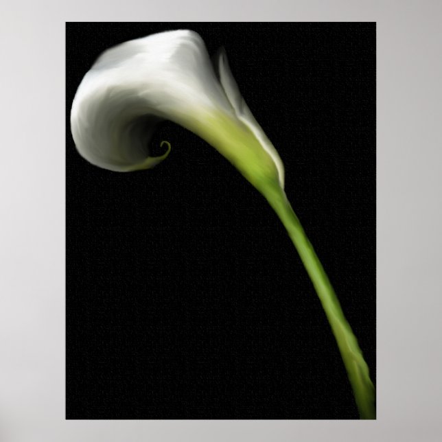 Calla Lily Prints Poster (Vorne)