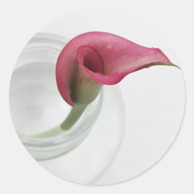 Calla Lily Runder Aufkleber (Vorderseite)