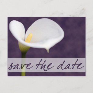 Calla Lily Save the Date Postcard Ankündigungspostkarte