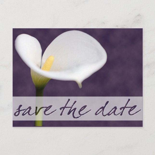 Calla Lily Save the Date Postcard Ankündigungspostkarte (Vorderseite)