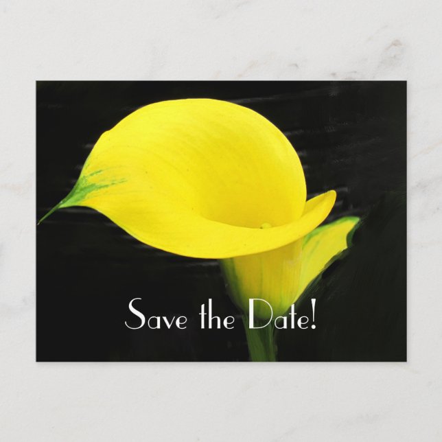 Calla Lily Save the Date Postcard Ankündigungspostkarte (Vorderseite)