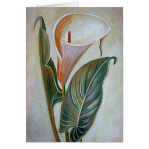 Calla Lily Schöne botanische Kunst
