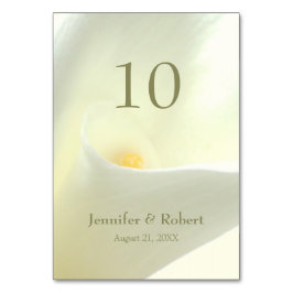 Calla Lily Tischnummer