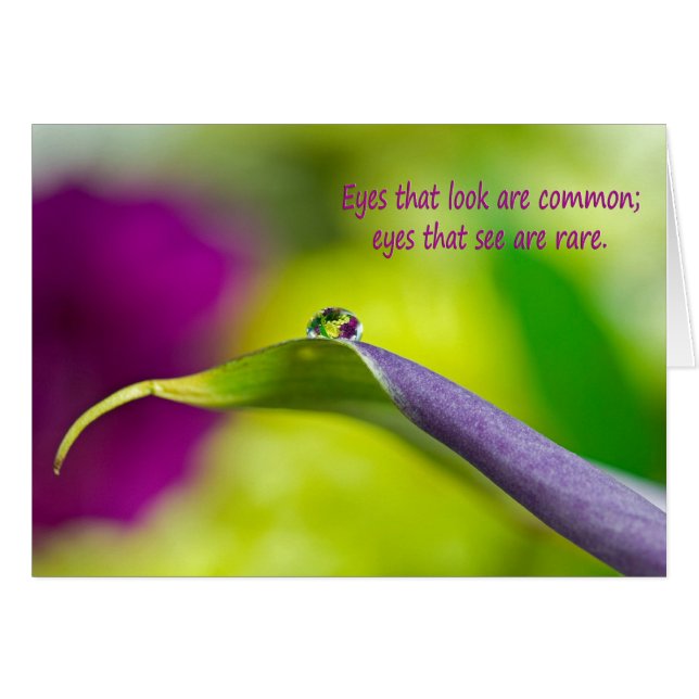 Calla Lily Water Droplet (Vorderseite (Horizontal))