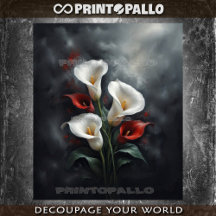 Calla limitiert Blume-Komposition #2 auf schwarz