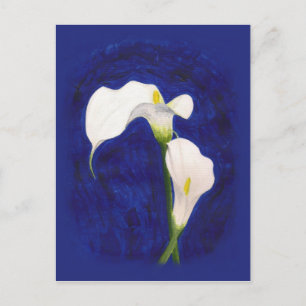 calla lis postcard postkarte