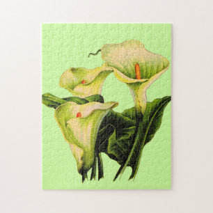 Calla lis puzzle