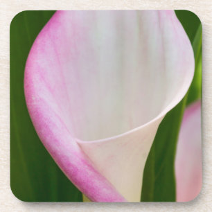 Calla Pano Getränkeuntersetzer