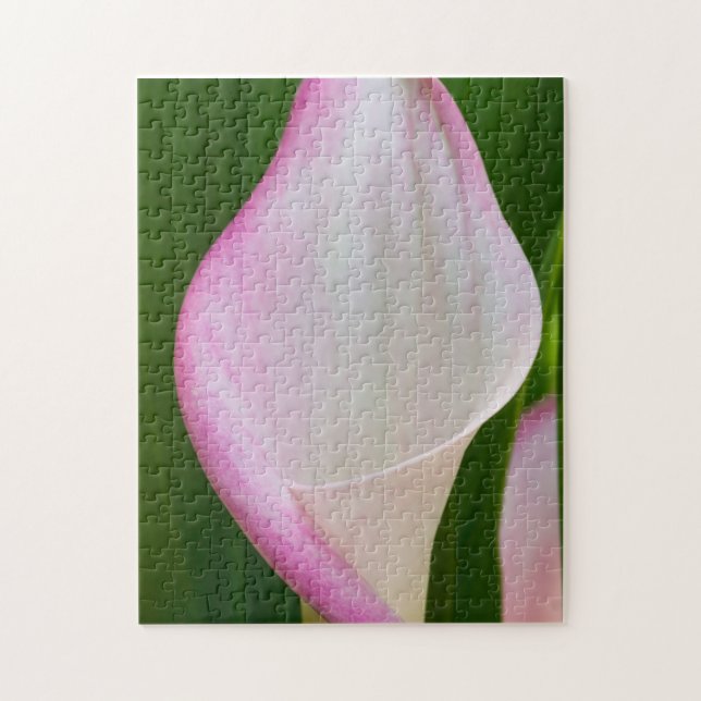 Calla Pano Puzzle (Vertikal)