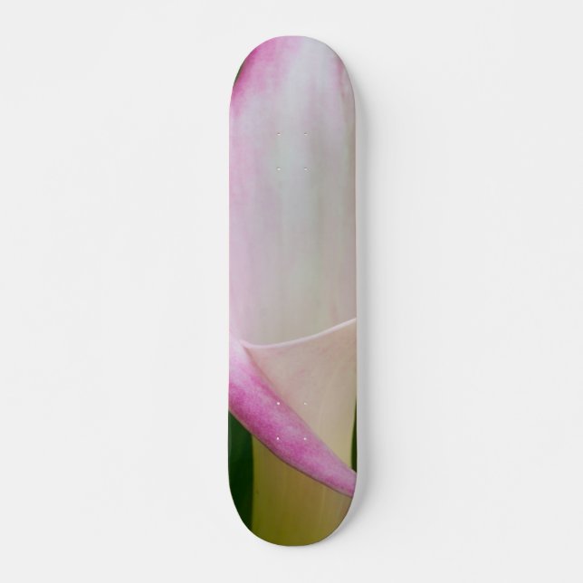 Calla Pano Skateboard (Vorne)