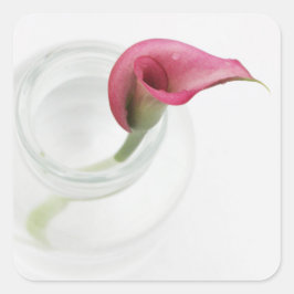 Calla Quadratischer Aufkleber