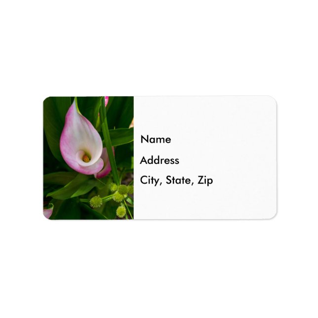 Calla Roll Address Label Adressaufkleber (Vorne)