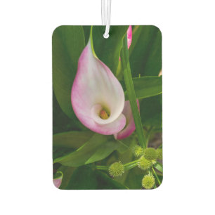 Calla Roll Autolufterfrischer