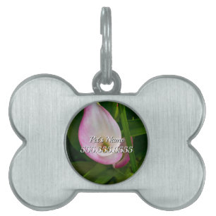 Calla Roll Pet ID Tag Tiermarke