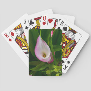 Calla Roll Spielkarten