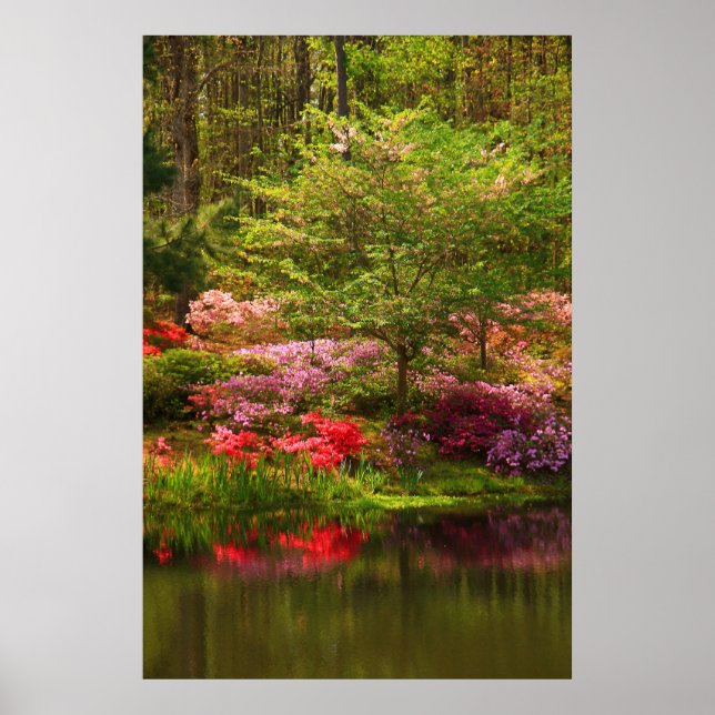 Callaway Landscape Poster (Vorne)