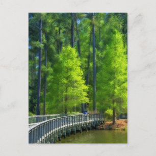 Callaway Landscape Postkarte