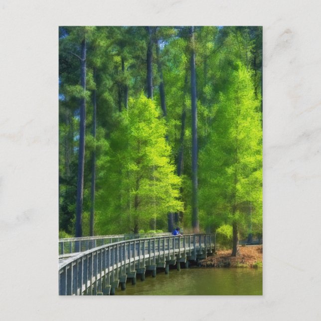 Callaway Landscape Postkarte (Vorderseite)