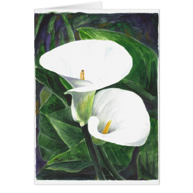 Calle Lilies (Vorne)