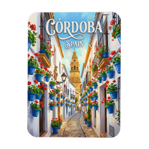 Calleja de las Flores Spanien Magnet