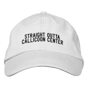 Callicoon Center New York Hut