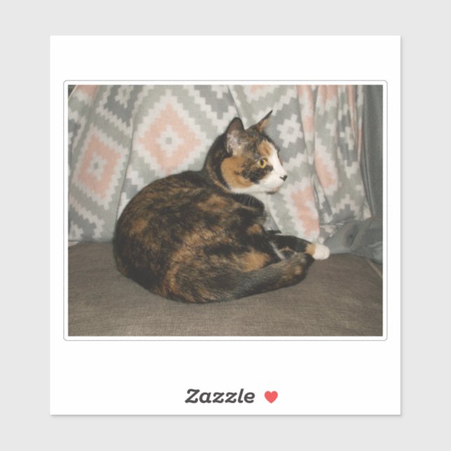 Callie Cat auf Sofa Aufkleber (Blatt)