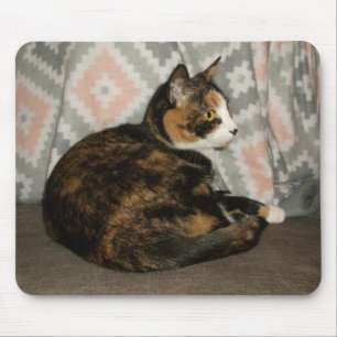Callie Cat auf Sofa Mousepad