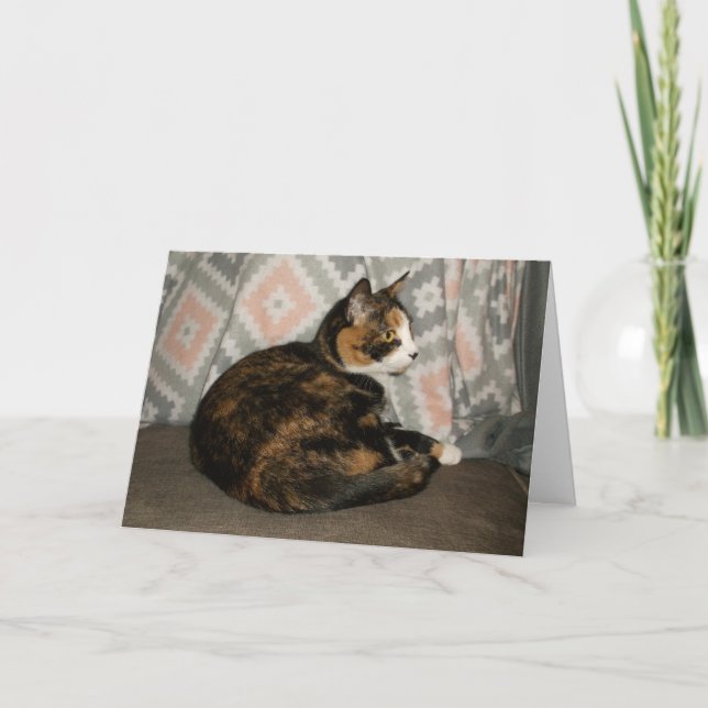 Callie Katze auf Sofa Karte (Vorderseite)