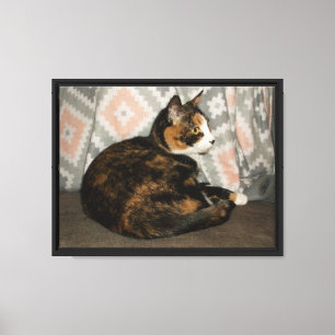 Callie Katze auf Sofa Leinwanddruck