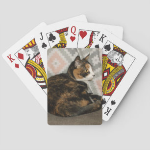 Callie Katze auf Sofa Spielkarten