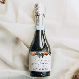 CALLIOPE Clementine Orange Pop es, wenn sie Pop