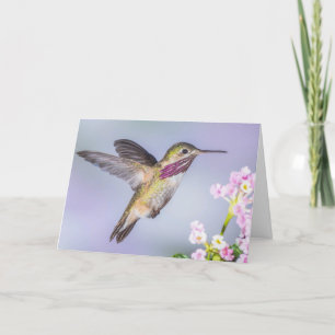 Calliope Hummingbird Fliegen im Lila Beileid Karte