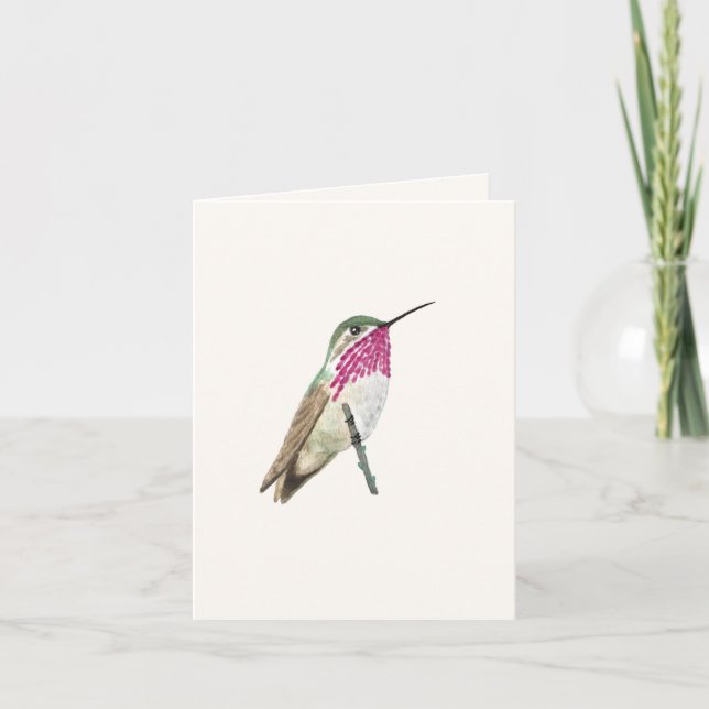 Calliope Hummingbird Karte (Vorderseite)