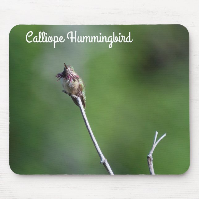 Calliope Hummingbird Mousepad (Vorne)