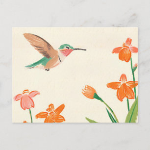 Calliope-Kolibri in Flugzeichnung Postkarte