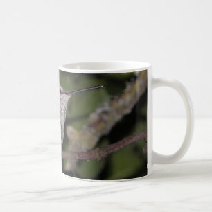Calliope-Kolibri Tasse