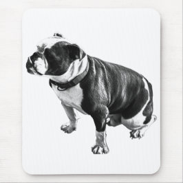 Calm Beneath the Work Mousepad