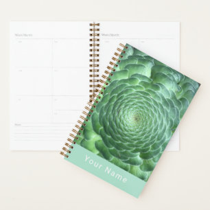 Calm Green sukkulente Pflanze Planer